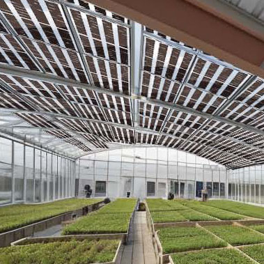 �����������������C���[�W